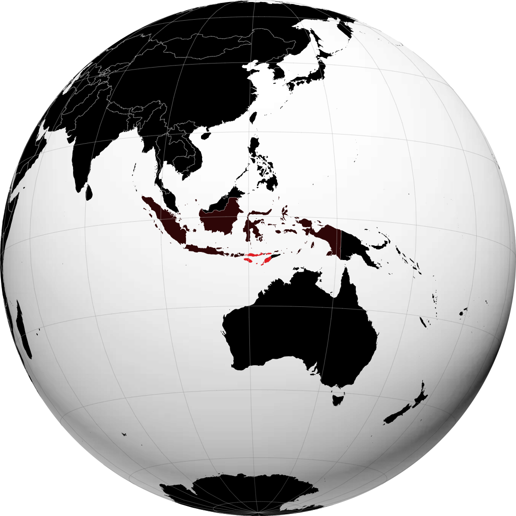 Jihar Nusa Tenggara Timur a ƙwallon ƙasa